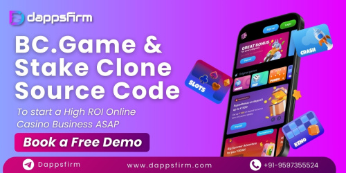 BC.Game & Stake Casino Software – Ready-to-Deploy, Minimal Cost! Book a Demo Now