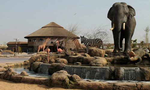 City Shine Tourism