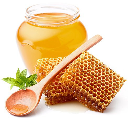 Habibi Healthy Food Honey – Pure & Natural Sweetness