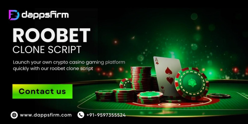Low-Cost Roobet Clone Script to Jumpstart Your Online Casino Business