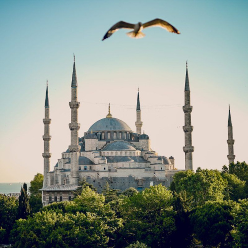 Lets Media Solution | Best Landscape Photography Service Dubai