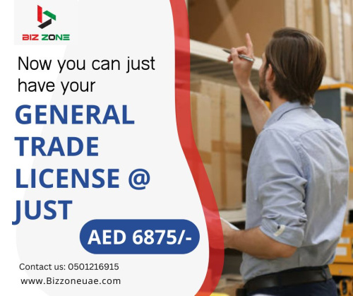 Biz Zone Corporate Services Provider