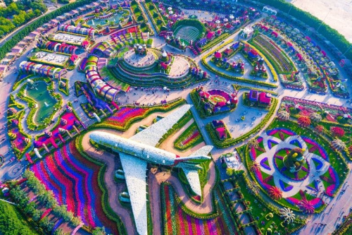 City Shine Tourism
