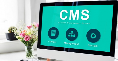 Website Design and Development Services