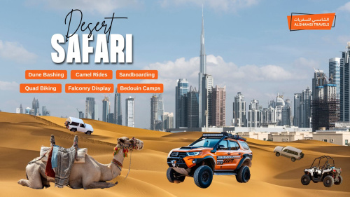 Best Desert Safari Dubai Package | Al Shamsi Travels 