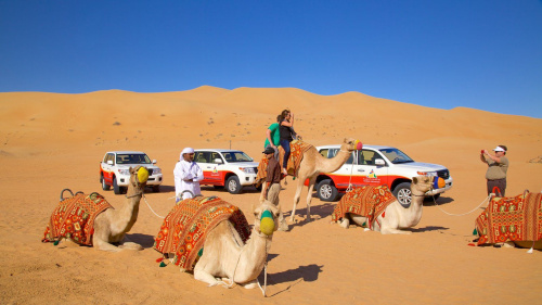 City Shine Tourism