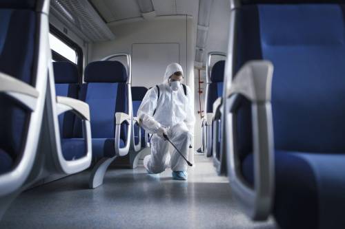 Professional Termite Extermination in Abu Dhabi - Shinex Care