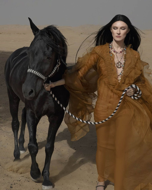 Wild Camel - Advertising & Marketing Agency