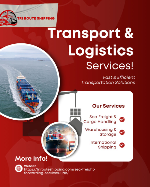 Reliable Sea Freight Services Across UAE