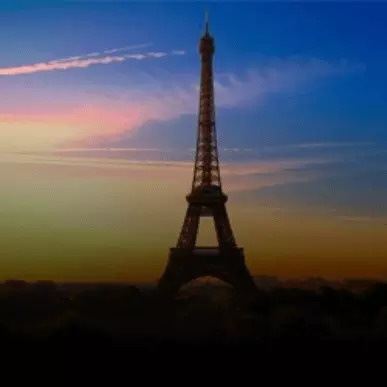 Arooha Tours & Travel Burdubai