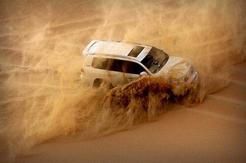 Morning Dubai Desert Safari Trip 