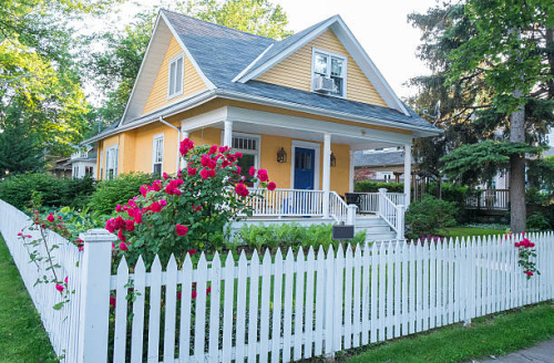 Fence builders in Savannah