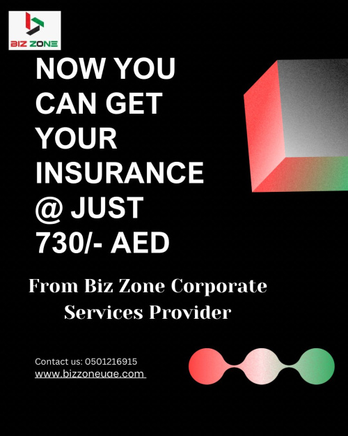Biz Zone Corporate Services Provider