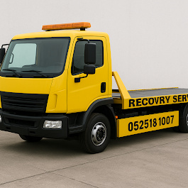 recovery service topzone