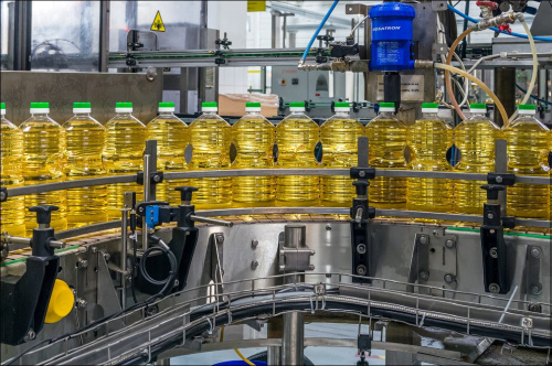 Premium Quality Sunflower, Olive, and Black Seed Oil – Available for Export!