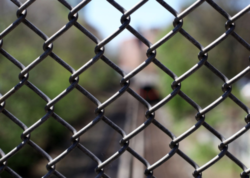 Chain Link Fence in UAE