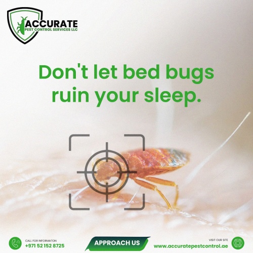 Pest Control Dubai