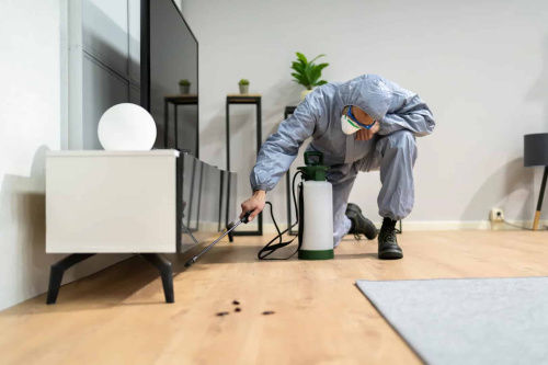 Safe Horizon Pest Control Service