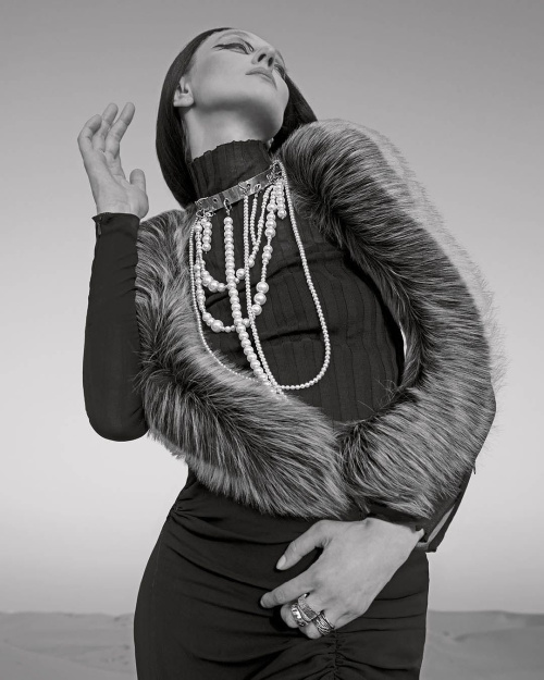 Wild Camel - Advertising & Marketing Agency