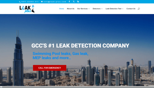 PROVIDING QUALITY LEAK DETECTION  SINCE 2017